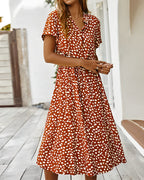 Ivonne Chic Colorful Leopard Print Dress Statement Occasion Edit