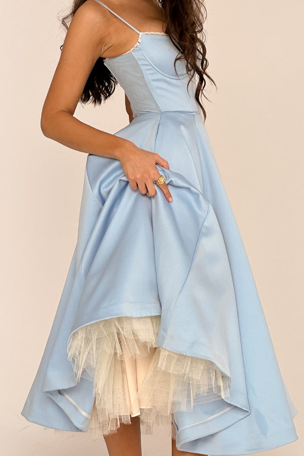 Lorraine Premium Strapless V Neck Sleeveless Tutu Maxi Dress Designer Edit