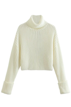 Ribbed Turtleneck Sweater