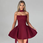 Skylene Mini Dress Maroon