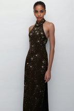 Miley Black Embellished Skinny Cut Maxi Dress