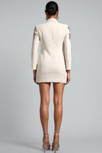 Zale Long Sleeve V-Neck Sequin Mini Dress