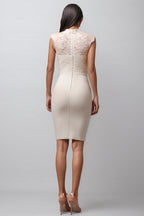 Donna Lace-Trimmed Fitted Midi Dress