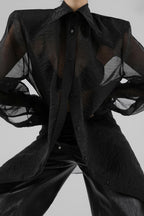Elegant Sheer Long Sleeve Blouse