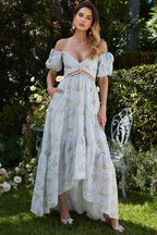 Wrenna Blue Printed V-Neck Maxi Dress