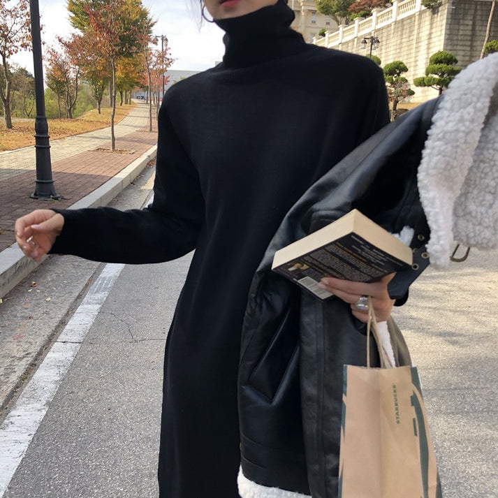Alba Exclusive Warm Sweater Dress with Long Sleeves and Stand Up Collar Chic Silhouette Collection