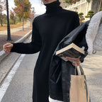 Alba Exclusive Warm Sweater Dress with Long Sleeves and Stand Up Collar Chic Silhouette Collection