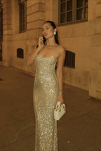 Backless Bodycon Evening Gown Prom Dress
