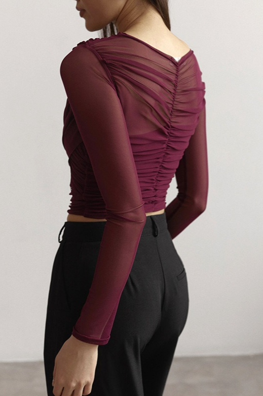 Solid Mesh Ruched Sexy Long Sleeve Crop Top