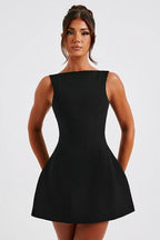 Fitted Sleeveless ALine Work Dress