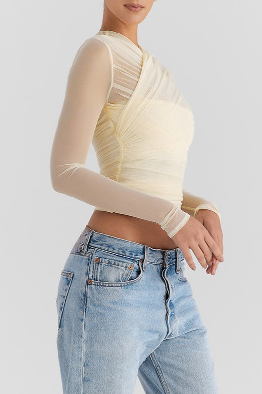 Sexy Sheer Mesh Paneled Zipper Long Sleeve Slim Crop Top
