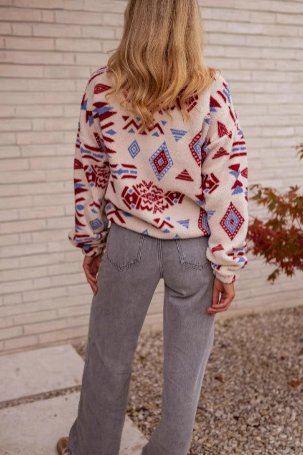Turtle Colorblock Print Thick Sweatshirt