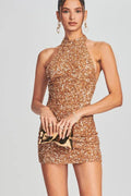 Sexy Shiny Slim Backless Sequin Dress