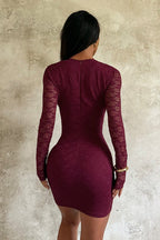 Deep V Lace Bodycon Mini Dress
