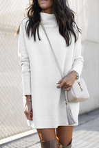Eglantine Minimalist Dresses with High Collars Statement Occasion Edit