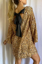 Aranza Effortless Glitter Dress Chic Silhouette Collection