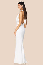 V-Neck Halter Lace Backless Fishtail Party Dress