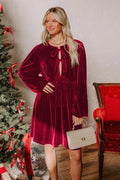Velvet Loose Cutout Tie Waist Mini Dress