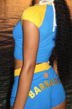 Blue Embroidered Crop Top