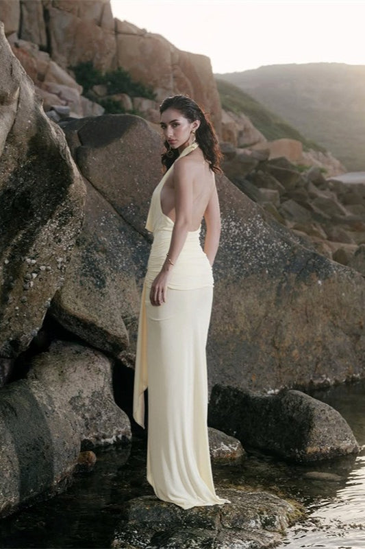Draped Neckline LowBack Maxi Party Dress