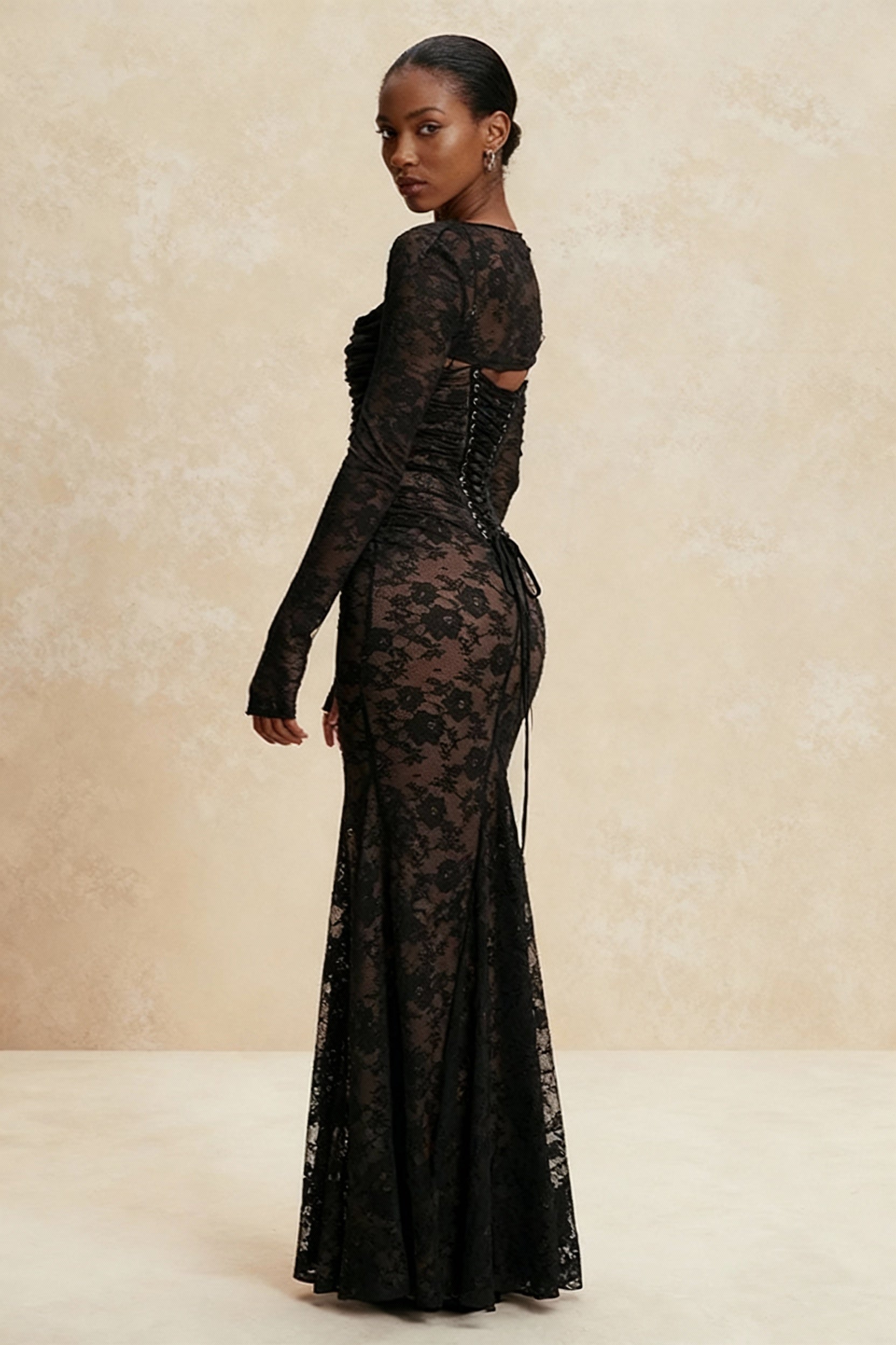 Elegant Lace Mesh Long Sleeve Lace Dress