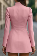 Fashionable Stand Collar Single-Breasted Slim Fit Formal Mini Dress