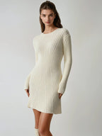 Rib Long Sleeve Short Sweater Dress