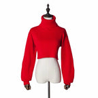 Trendy Casual Loose Sexy Fashionable Solid TurtleNeck Long Sleeve Knit Crop Sweater