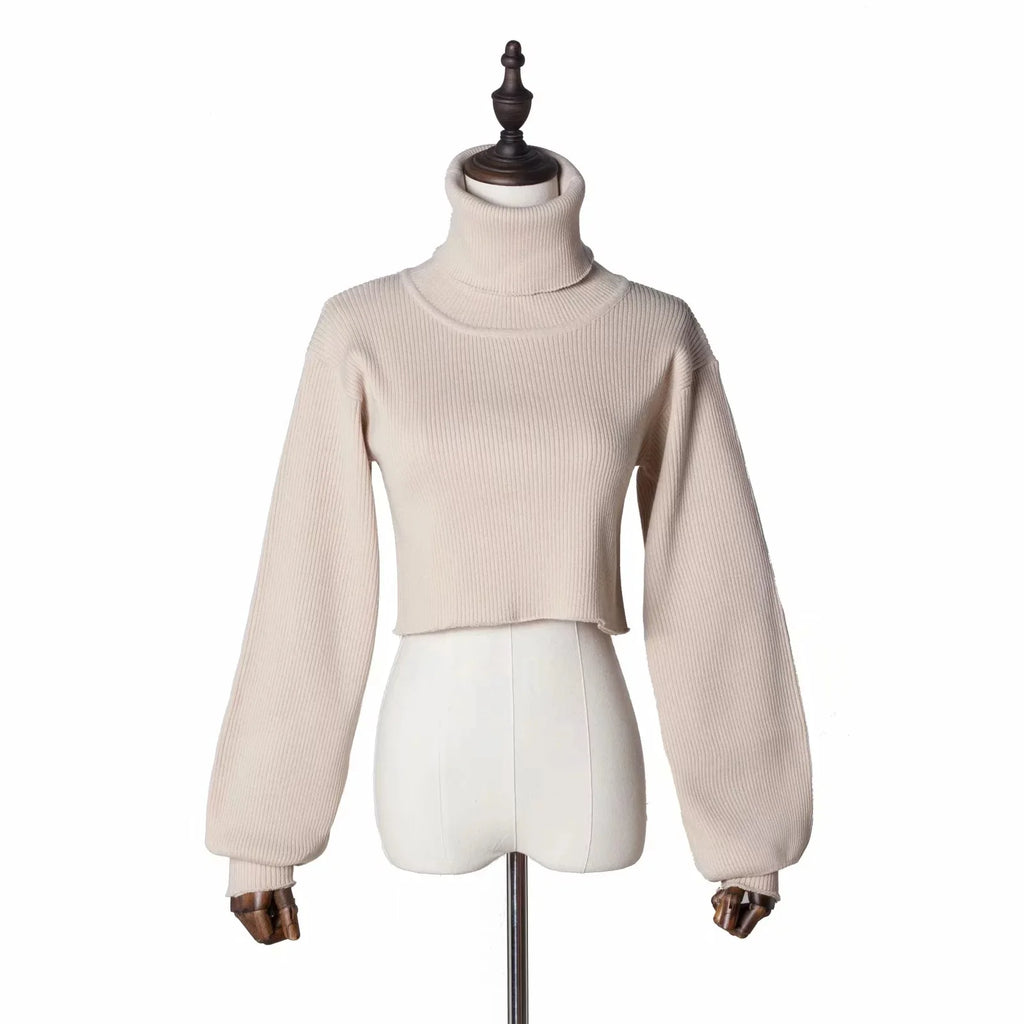 Trendy Casual Loose Sexy Fashionable Solid TurtleNeck Long Sleeve Knit Crop Sweater
