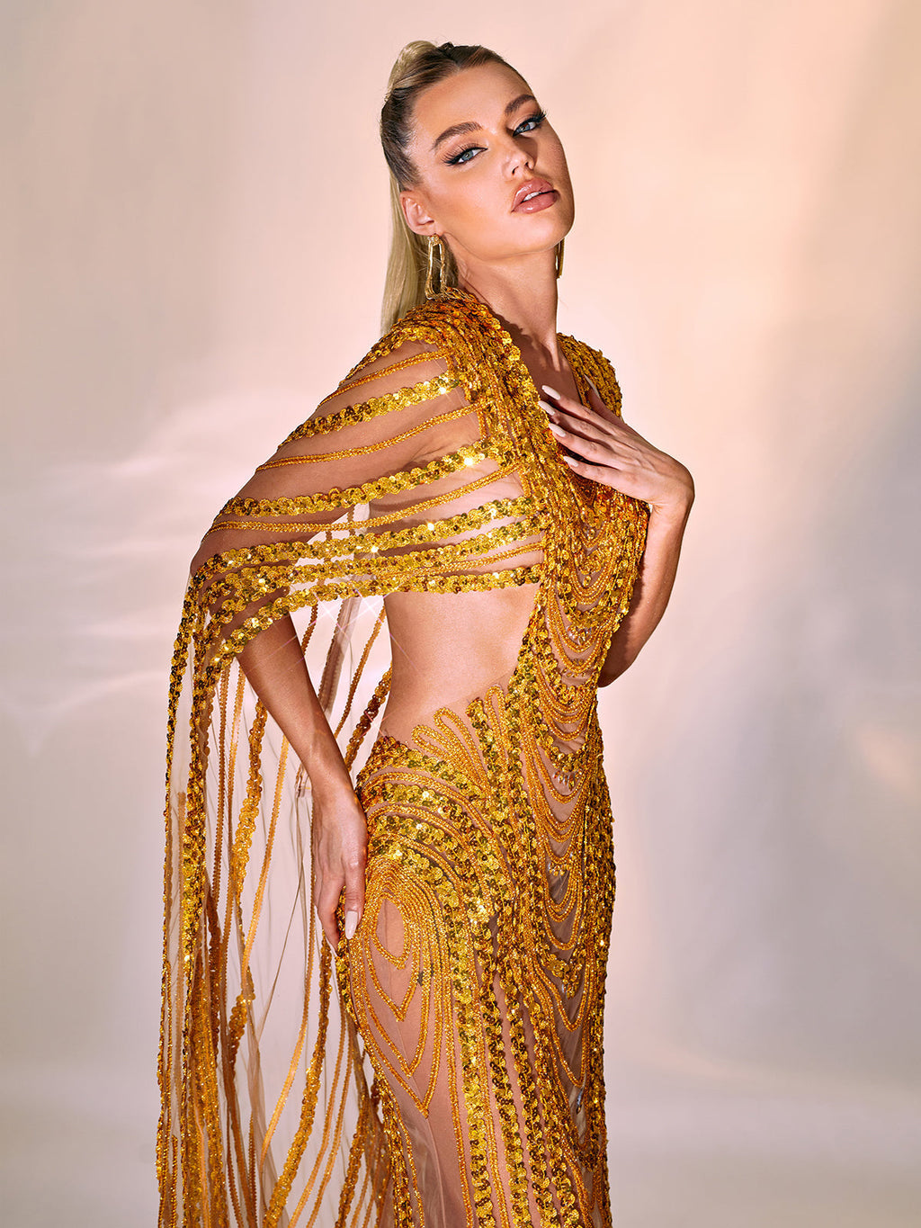 Chana Sequin Crystal Mesh Maxi Dress