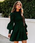 Pullover Long Sleeve Crew Neck Mini Dress
