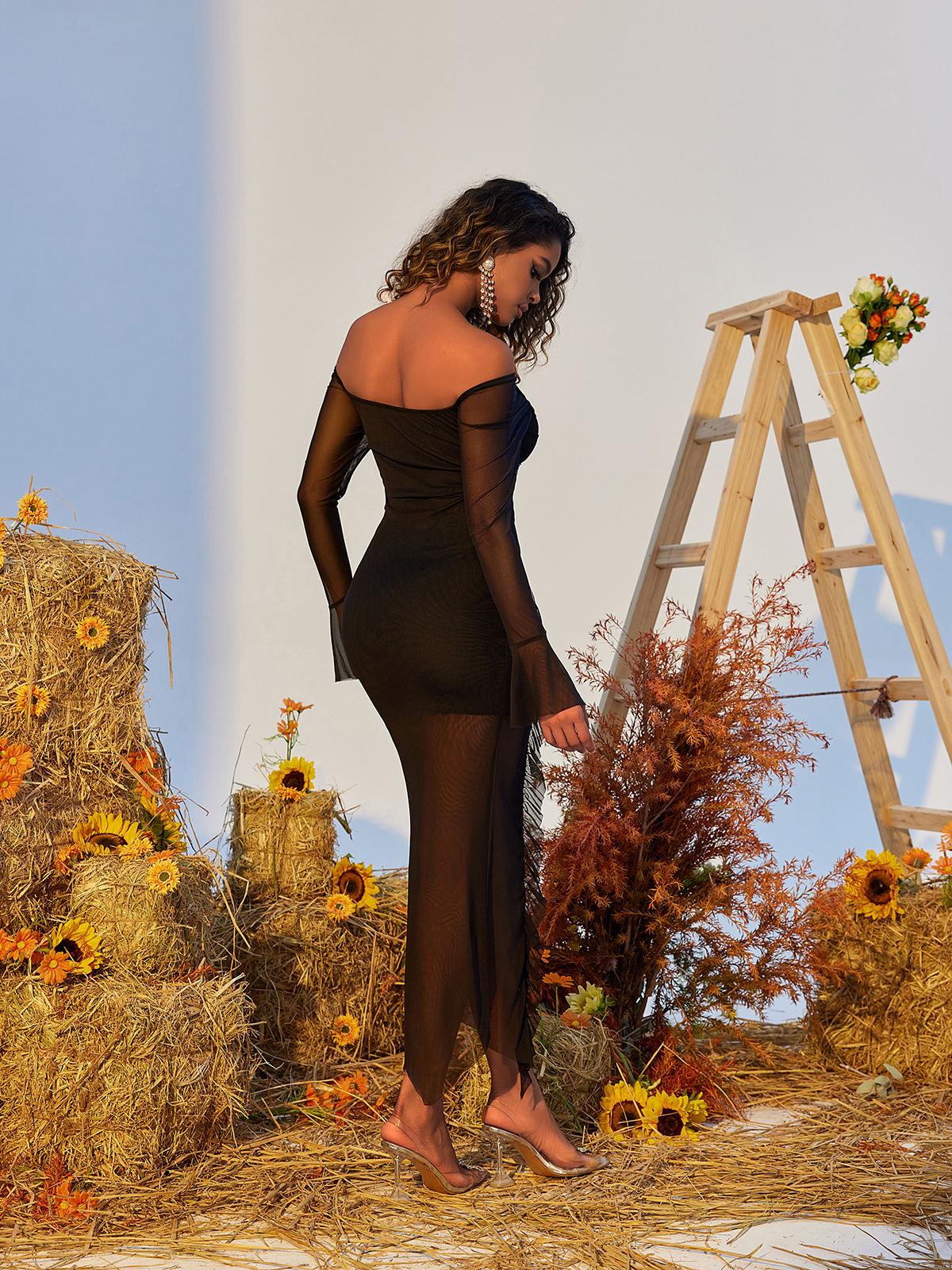 Flower Ruffle Mesh Dress