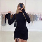 Irmina Aesthetic Turtleneck Dress for Women Statement Occasion Edit