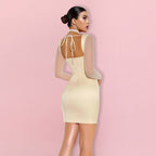 Halter Long Sleeve Mesh Mini Bodycon Dress HI1297