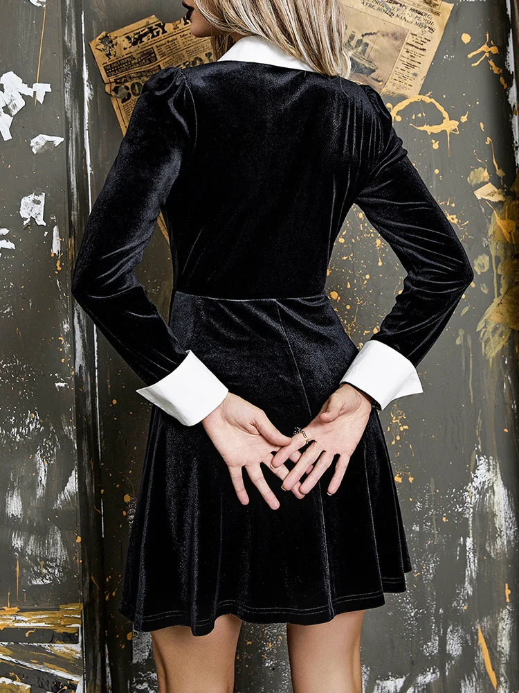 Contrast Collar ALine Vintage Velvet Long Sleeve Aesthetic Goth Retro Flare Skater Dress