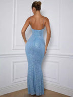 Celebration Choice Sequin Fitted Dress