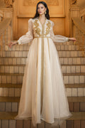 Isabef V-neck Embroidered Mesh Maxi Dress
