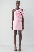 Rila Barbie Pink Big Bow Mini Dress