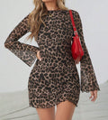 Charm Sheer Long Sleeve Mini Dress