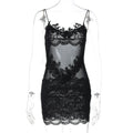 Whitleigh Lace Mesh Mini Dress