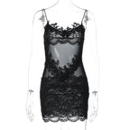 Whitleigh Lace Mesh Mini Dress