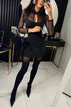 Ladies' elegant mesh sparkling fabric hollow out shirt collar long sleeved elastic mini dress