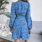 Kandy Printed Ruched Ruffle Mini Dress FINAL