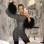 Feather Shimmer Mesh Dress