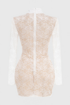 Emilsf Lace Jacquard Mini Dress