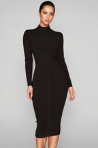 Elira Solid Colour Stand Collar Midi Dress-Black