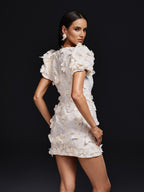 Butterfly Embroidered Mini Dress