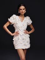 Butterfly Embroidered Mini Dress