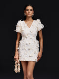 Butterfly Embroidered Mini Dress