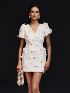 Butterfly Embroidered Mini Dress